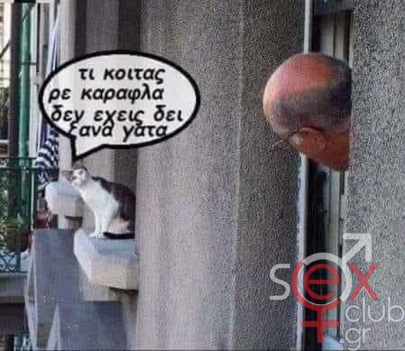[Εικόνα: attachment.php?aid=101437]