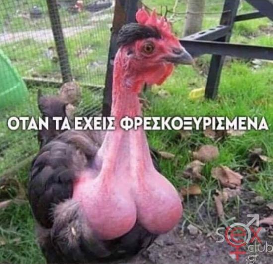 FB_IMG_1729959098911.jpg
