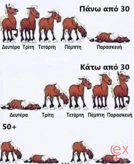 FB_IMG_1730740237030.jpg