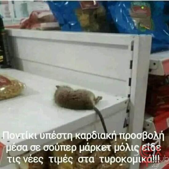 FB_IMG_1728500476523.jpg