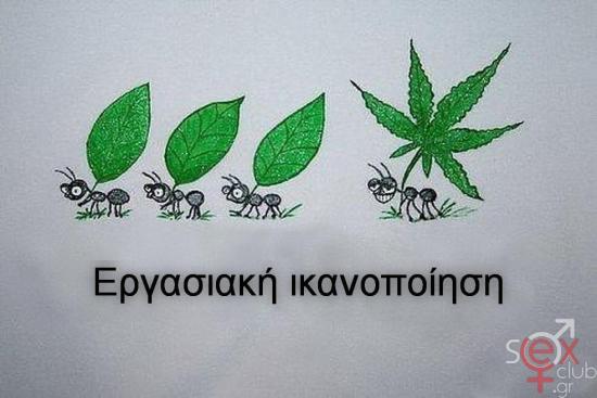 fe3f90d0_pkt04qqtnuu (1).jpg