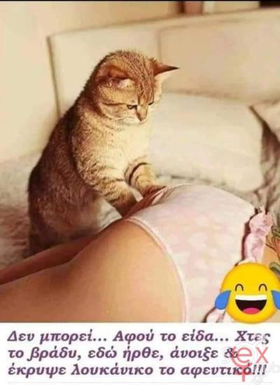 FB_IMG_1731435302360.jpg