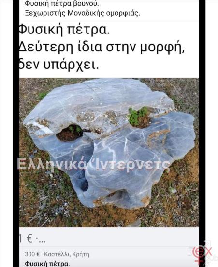 FB_IMG_1732048202581.jpg