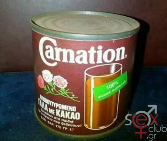 carnation 1.jpg