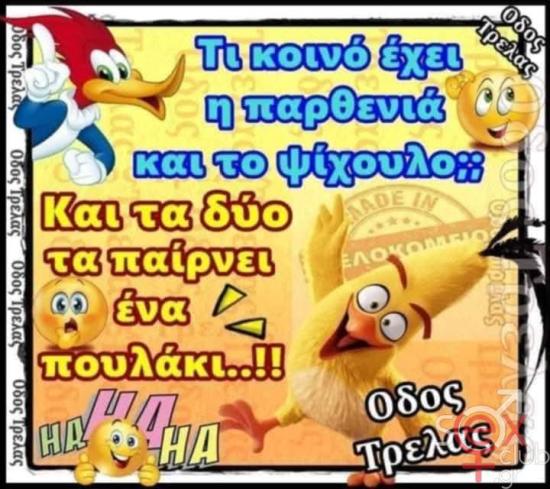 FB_IMG_1732986819573.jpg