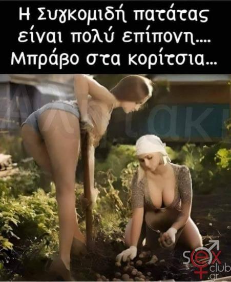 FB_IMG_1733158263471.jpg