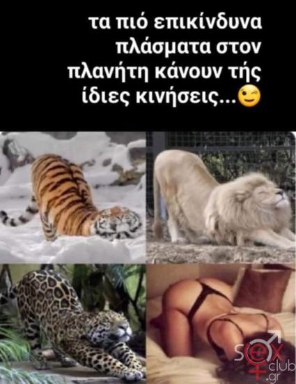 FB_IMG_1733563434587.jpg