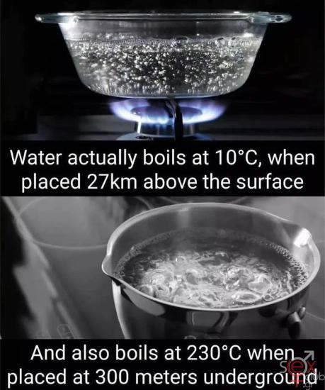 FB_IMG_1734267348875.jpg