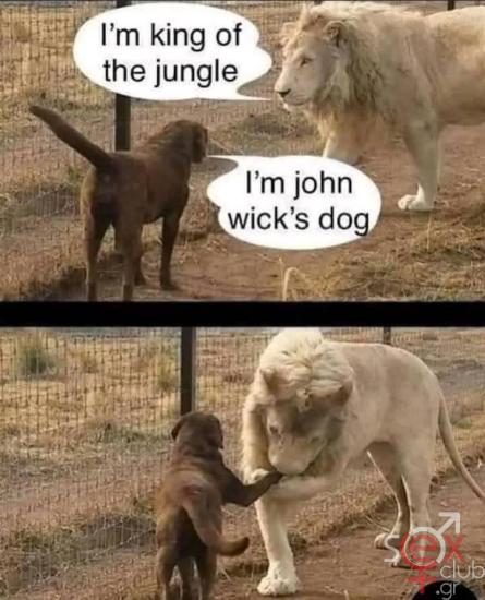 FB_IMG_1734374878775.jpg