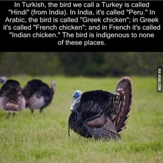 FB_IMG_1735079715392.jpg