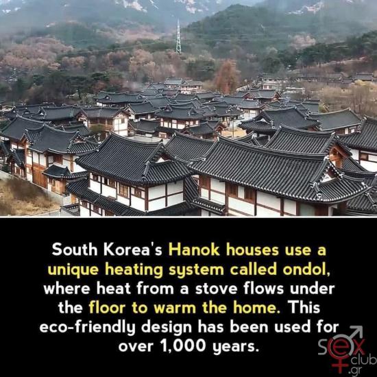 FB_IMG_1736117274453.jpg