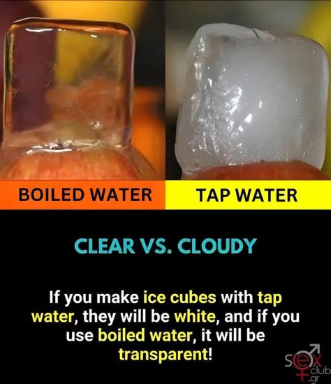 FB_IMG_1736155470008.jpg