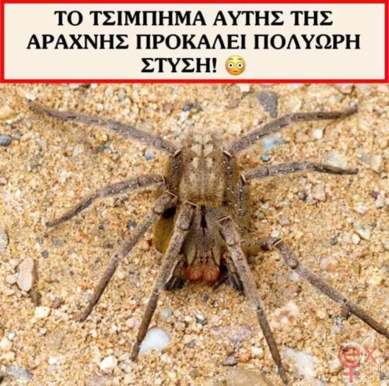 FB_IMG_1736100612735.jpg