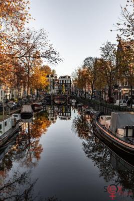 iloveams.jpg