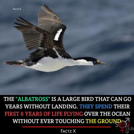 FB_IMG_1736276561133.jpg