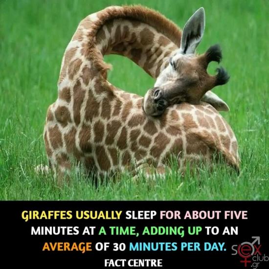 FB_IMG_1736287639262.jpg