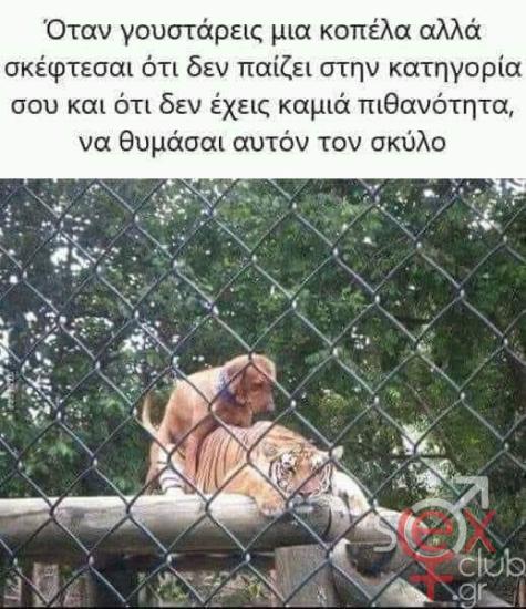 FB_IMG_1736269404761.jpg