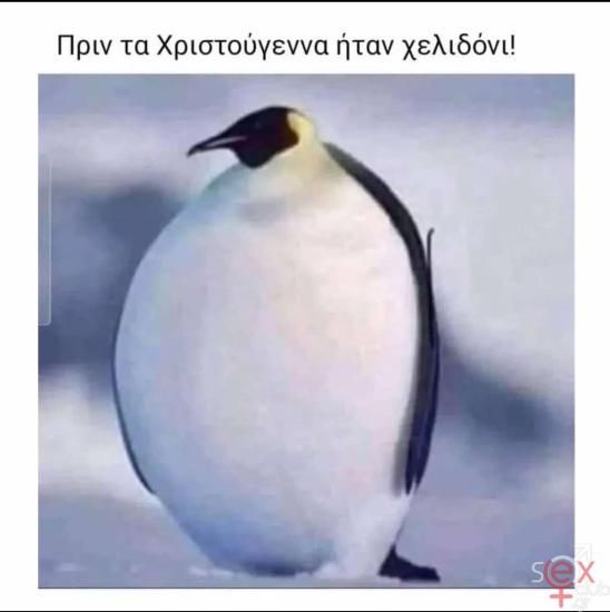 472408849_1115122256829414_9209167633286329950_n.jpg