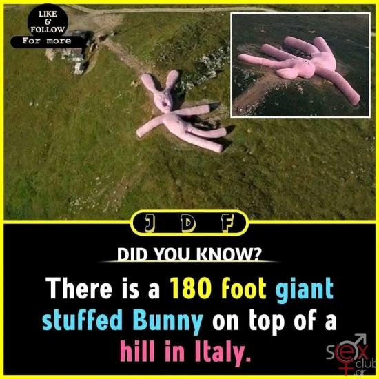 FB_IMG_1736288092680.jpg