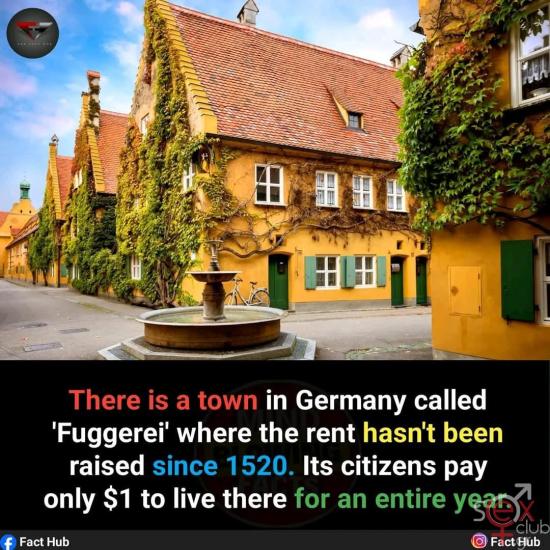 FB_IMG_1736288202455.jpg