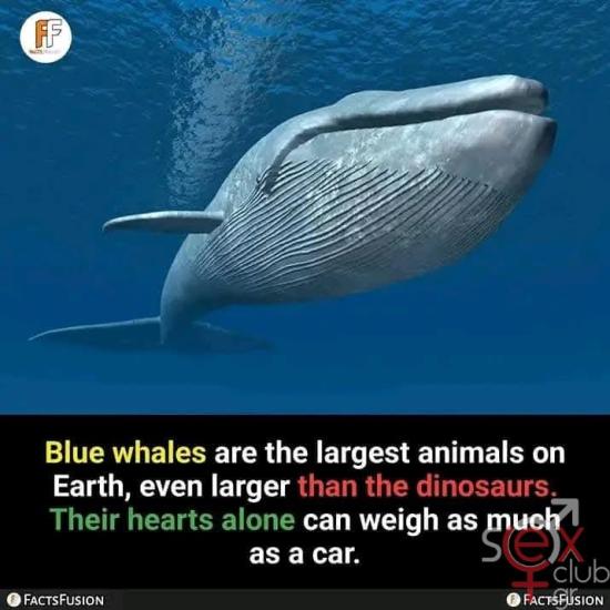 FB_IMG_1736878374412.jpg