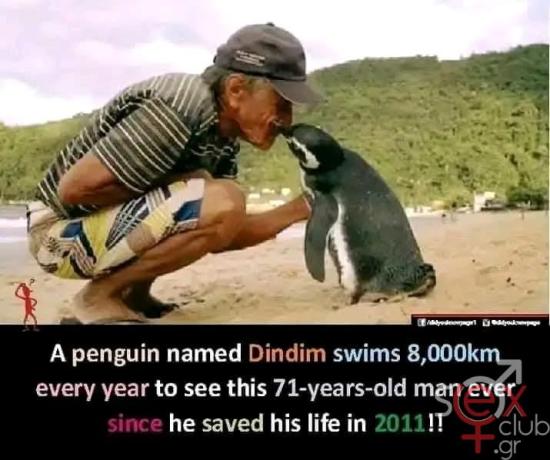 FB_IMG_1736288004208.jpg