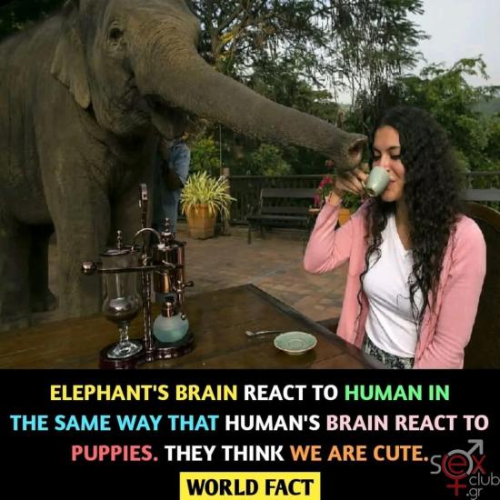FB_IMG_1736453889773.jpg