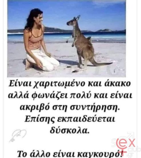 FB_IMG_1737057952212.jpg