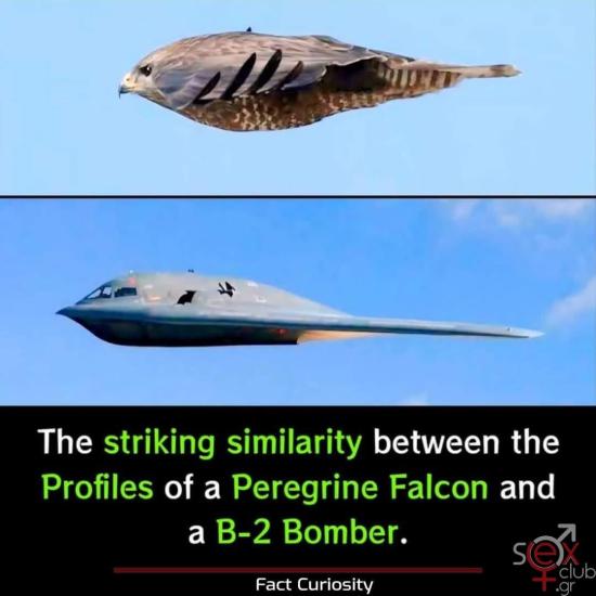 FB_IMG_1736709672179.jpg