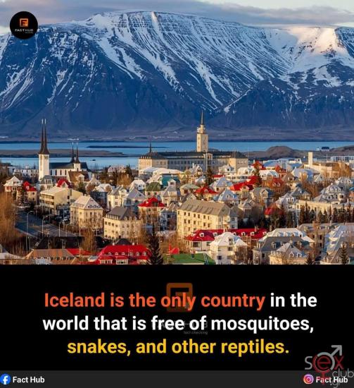 FB_IMG_1736878355431.jpg
