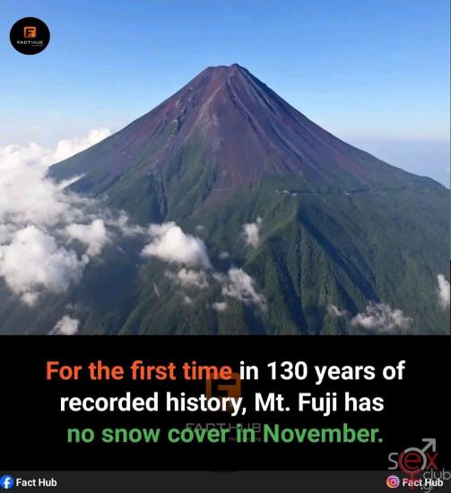 FB_IMG_1737047694285.jpg