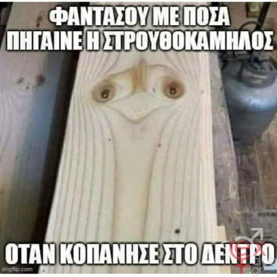 FB_IMG_1737952605197.jpg