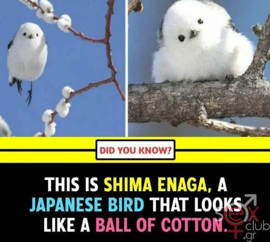 FB_IMG_1737282560174.jpg