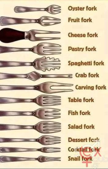 FB_IMG_1737829812633.jpg