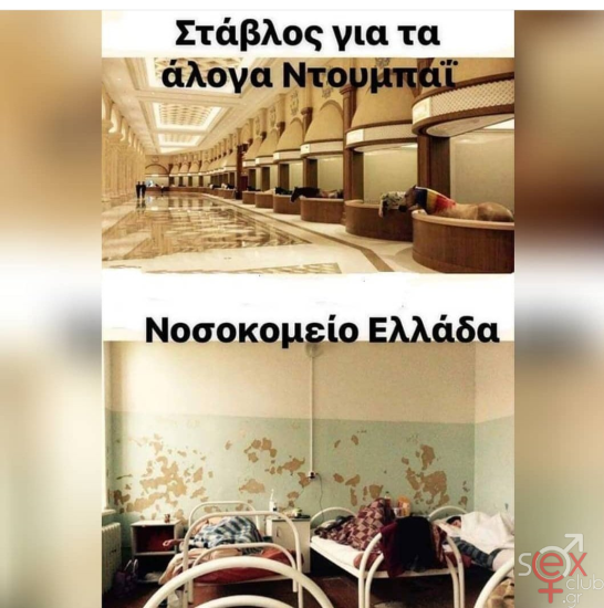 εικόνα_2025-01-29_165241044.png