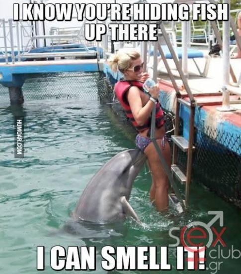 FB_IMG_1738394559874.jpg