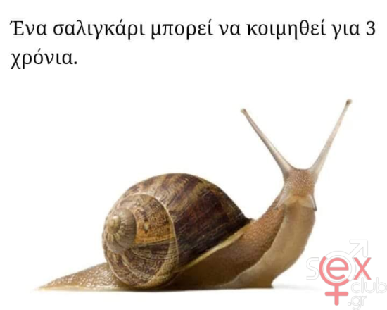 εικόνα_2025-02-07_182242858.png