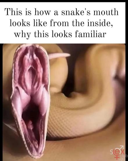 Snapinst.jpg