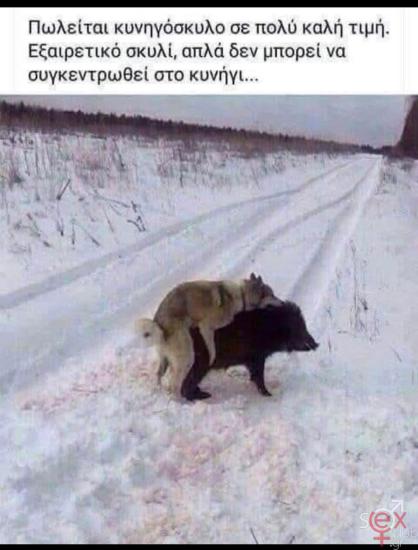 FB_IMG_1739817175818.jpg