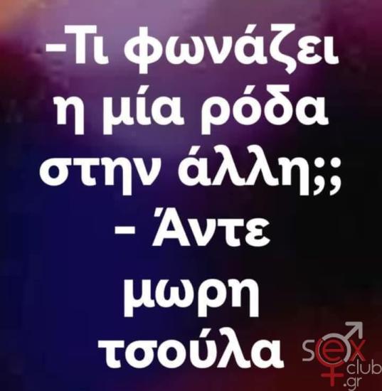 FB_IMG_1740175041409.jpg