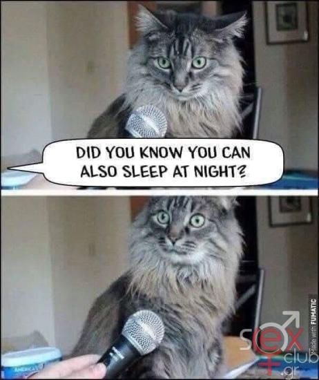 FB_IMG_1740392647973.jpg