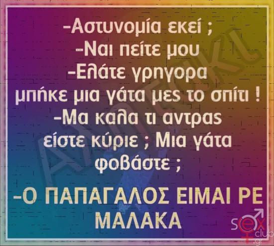 FB_IMG_1740572250629.jpg