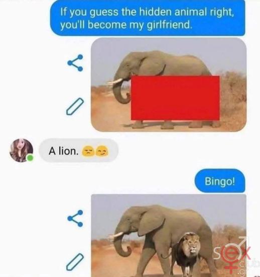 FB_IMG_1741011911506.jpg