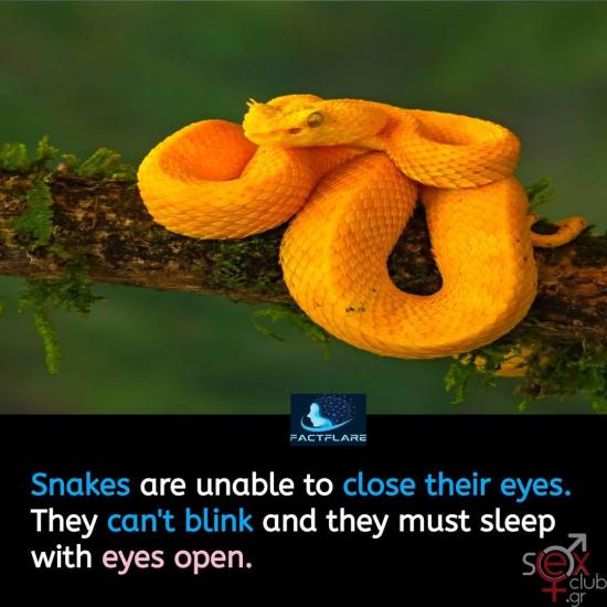 FB_IMG_1741012491987.jpg