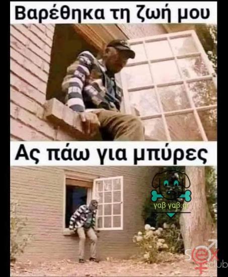 FB_IMG_1741018526173.jpg