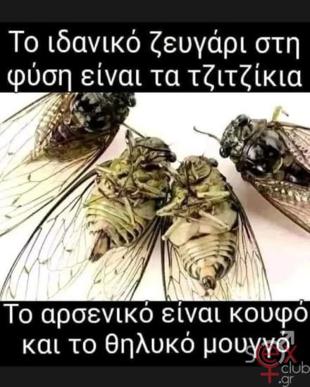 FB_IMG_1741250094875.jpg