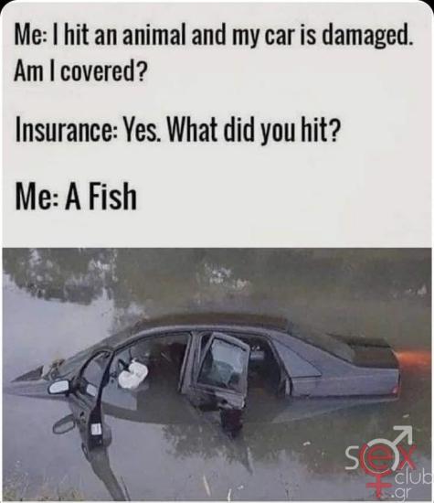 FB_IMG_1741257514650.jpg