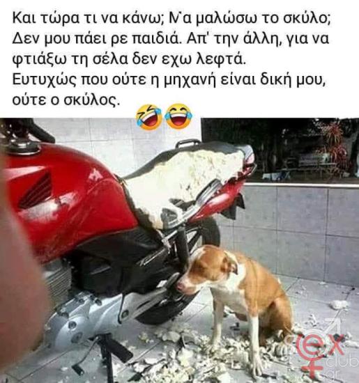 FB_IMG_1741328101603.jpg