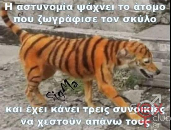 FB_IMG_1742116420869.jpg