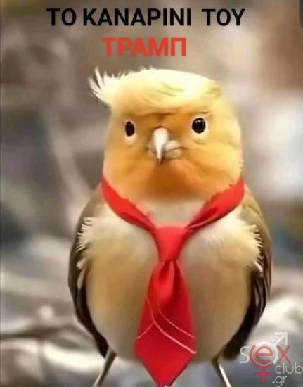 FB_IMG_1740731941444.jpg